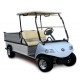 Mini Farm Cargo Electric Golf Cargo Truck with 2 Seater